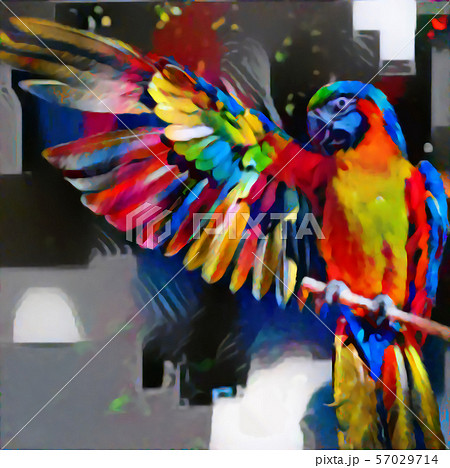 コンゴウインコ インコ 鳥類 鳥のイラスト素材 - PIXTA