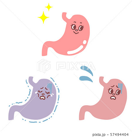 消化器のイラスト素材