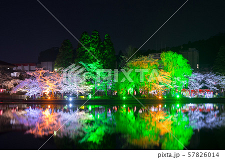 東金桜まつりの写真素材