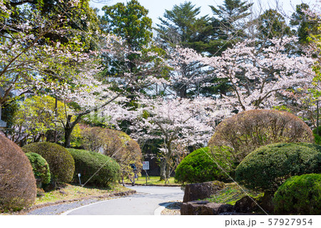 成田山公園散歩コースの写真素材