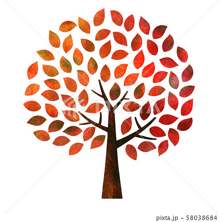 紅葉 カエデ 秋 色鉛筆画のイラスト素材