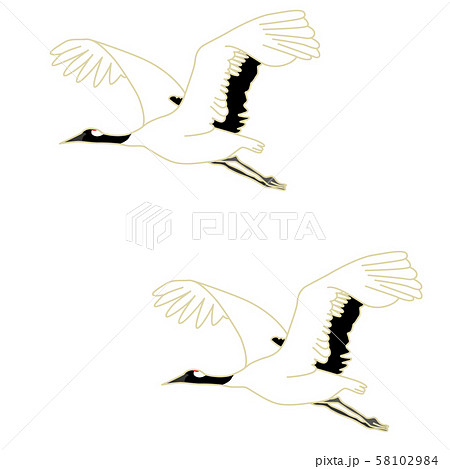 自然 鳥 綺麗な鳥のイラスト素材 Pixta