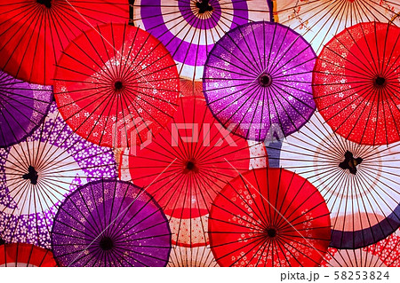 月あかり花回廊の写真素材