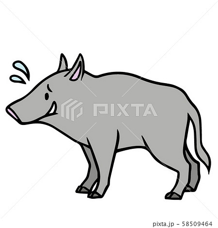 猪肉の写真素材 Pixta