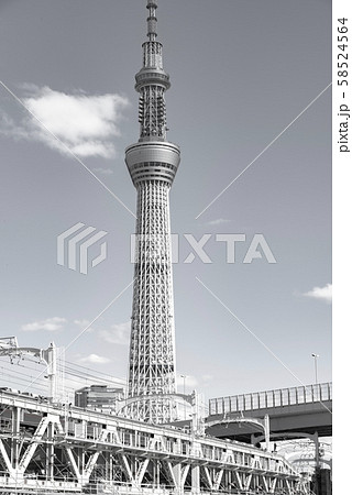 東京スカイツリー 風景 白黒 モノクロームの写真素材