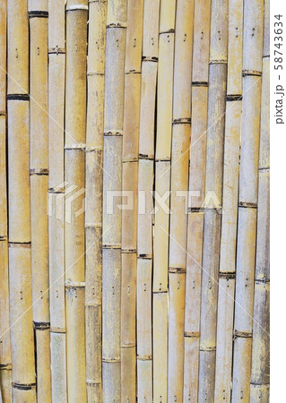 節 竹 テクスチャ 背景の写真素材 節 竹 テクスチャ 背景の写真素材