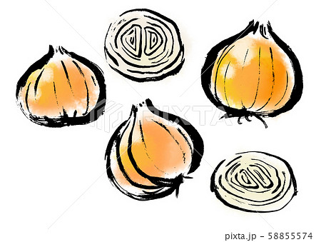 たまねぎ似顔絵 顔と手足がついている玉ねぎの写真素材 [FYI01968524] | ストック