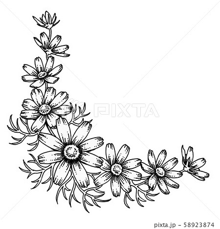 花 コスモス 秋桜 モノクロのイラスト素材
