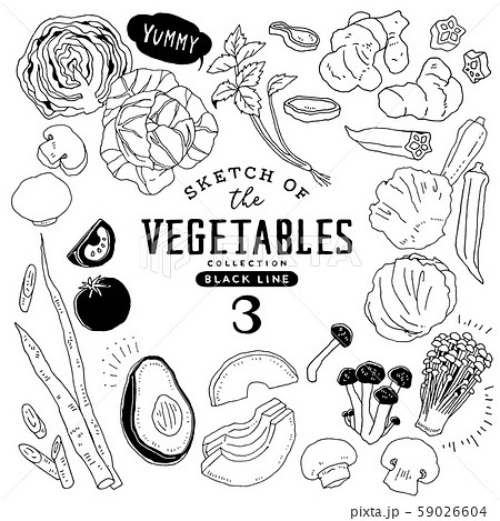 手書き ベクター 野菜 食材のイラスト素材