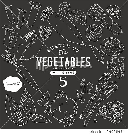ベクター 手書き 黒板 食材のイラスト素材