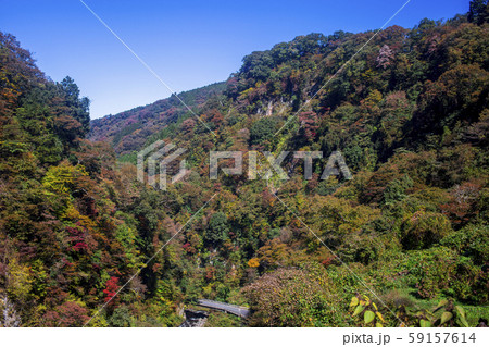 九酔渓の紅葉の写真素材