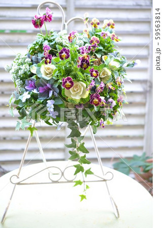 ハンギングスタンドの写真素材