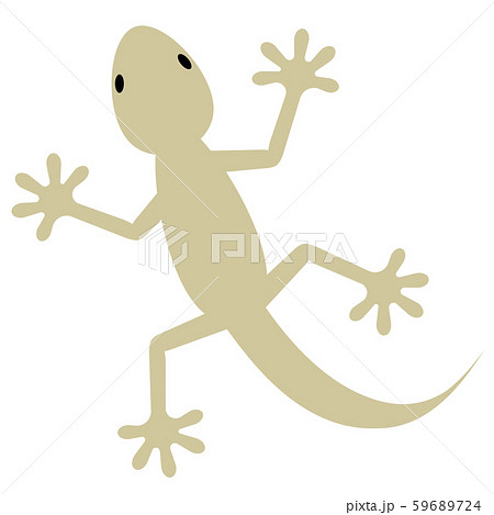 トカゲ 爬虫類 イラスト Cgのイラスト素材