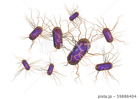 サルモネラ菌のイラスト素材