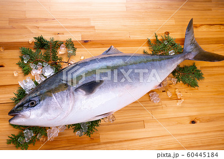 メジロ 魚 食べ物 和食の写真素材