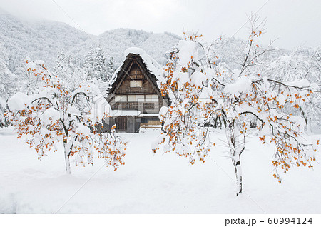 冬の白川郷の写真素材