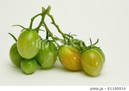 アイコトマトの写真素材 Pixta