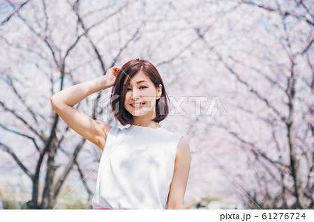 桜 春 木漏れ日 風の写真素材