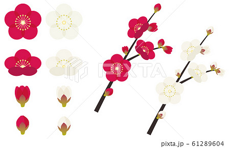 ２月の花のイラスト素材