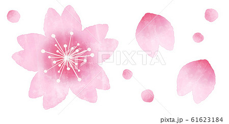 イラスト 桜の花 ４月 挿絵のイラスト素材