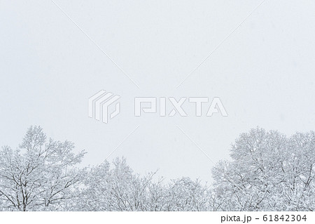冬イメージの写真素材