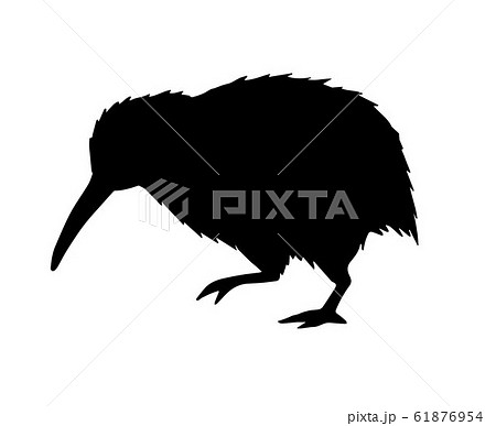 鳥 キウイ キウィ キーウィのイラスト素材