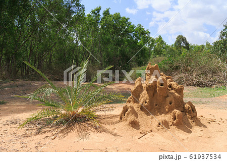 ありづかの写真素材