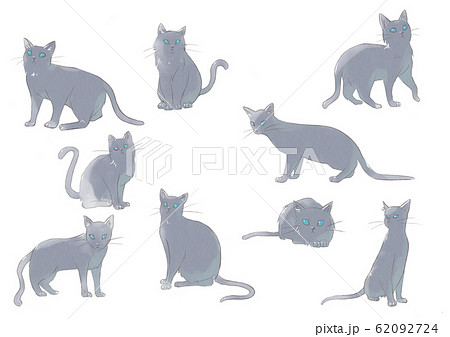 黒猫 猫 子猫 リアルのイラスト素材