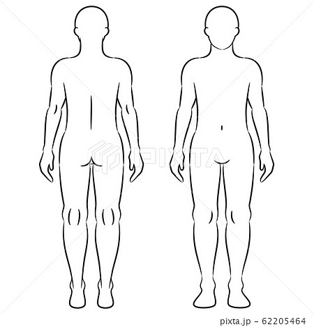 人体 図 全身 シンプルのイラスト素材