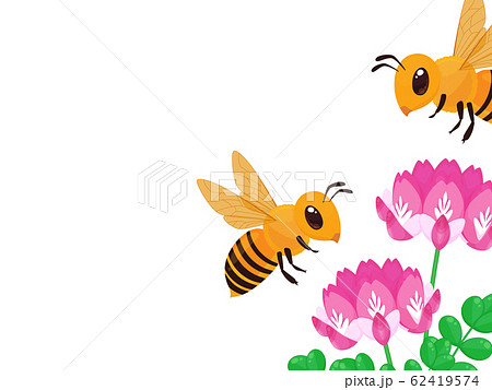 ミツバチ 花 植物 レンゲのイラスト素材