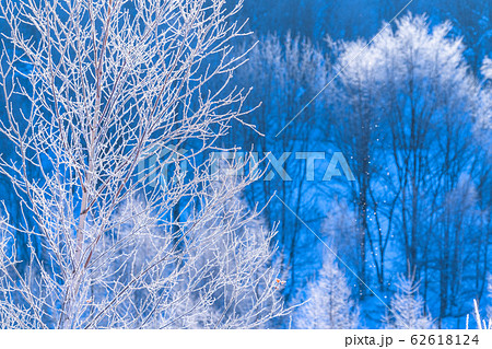 ダイヤモンドダストの写真素材