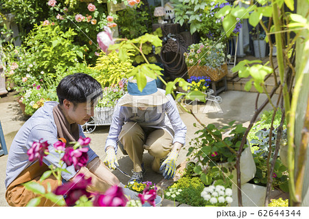 花 花畑 手入れ 男性の写真素材