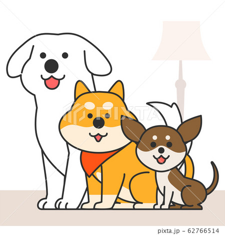 チワワ 犬 仔犬 キャラクターのイラスト素材