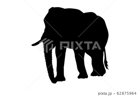 象シルエットのイラスト素材