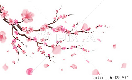 日本杏花 イラストの写真素材