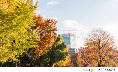 秋イメージの写真素材