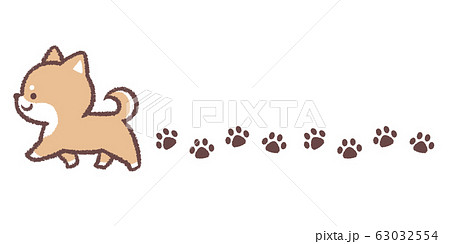 狗腳印照片素材