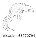 ヒョウモントカゲモドキのイラスト素材 Pixta