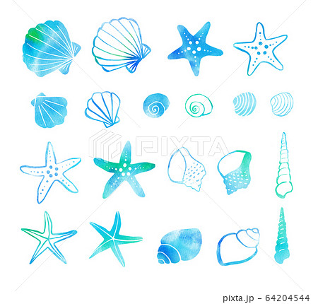 貝殻 貝 イラスト ペン画の写真素材