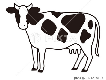牛 モノクロ 白黒 乳牛のイラスト素材
