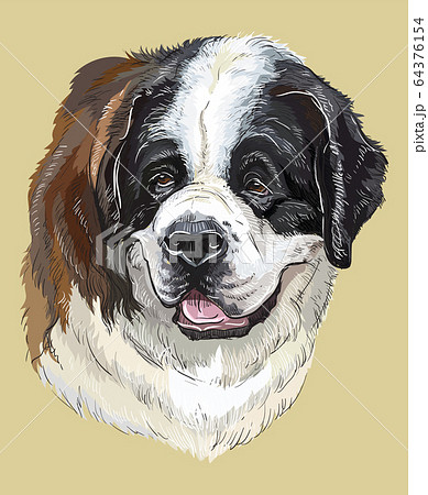 セント バーナード 犬のイラスト素材