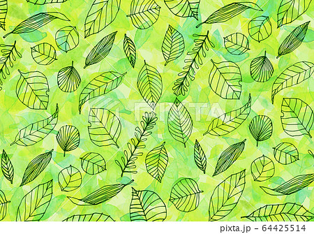 葉 ペン画 手描き 線画のイラスト素材