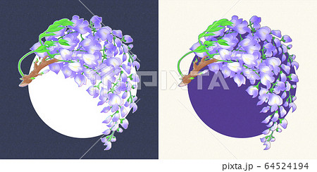 藤の花のイラスト素材