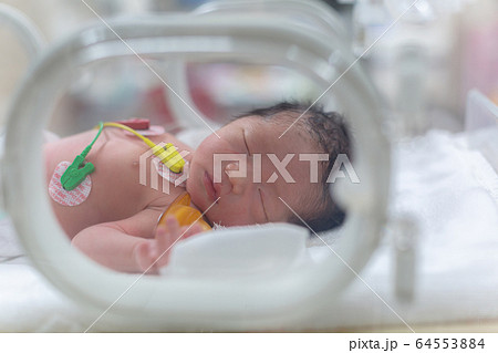 未熟児の写真素材