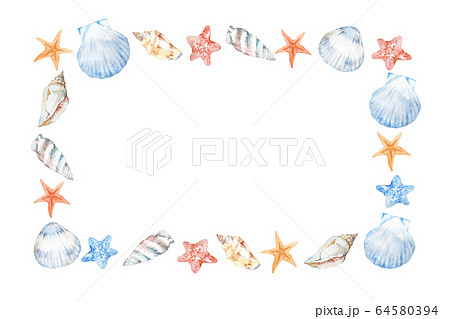 貝殻 ヒトデ カラフル 貝のイラスト素材