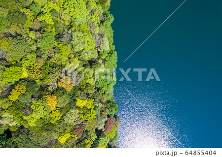 森 泉 水面 反射の写真素材