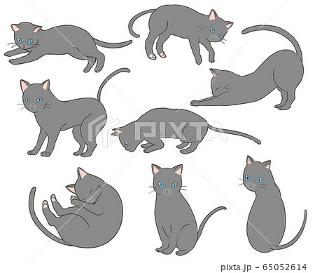 子猫のイラスト素材集 ピクスタ