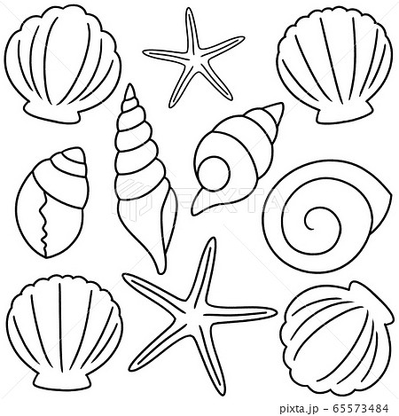 貝殻 貝 イラスト ペンのイラスト素材