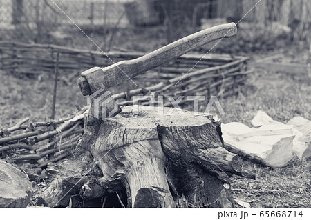 木 切り株 モノクロの写真素材 Pixta