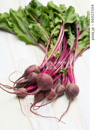 テーブルビート 野菜 植物 食べ物の写真素材